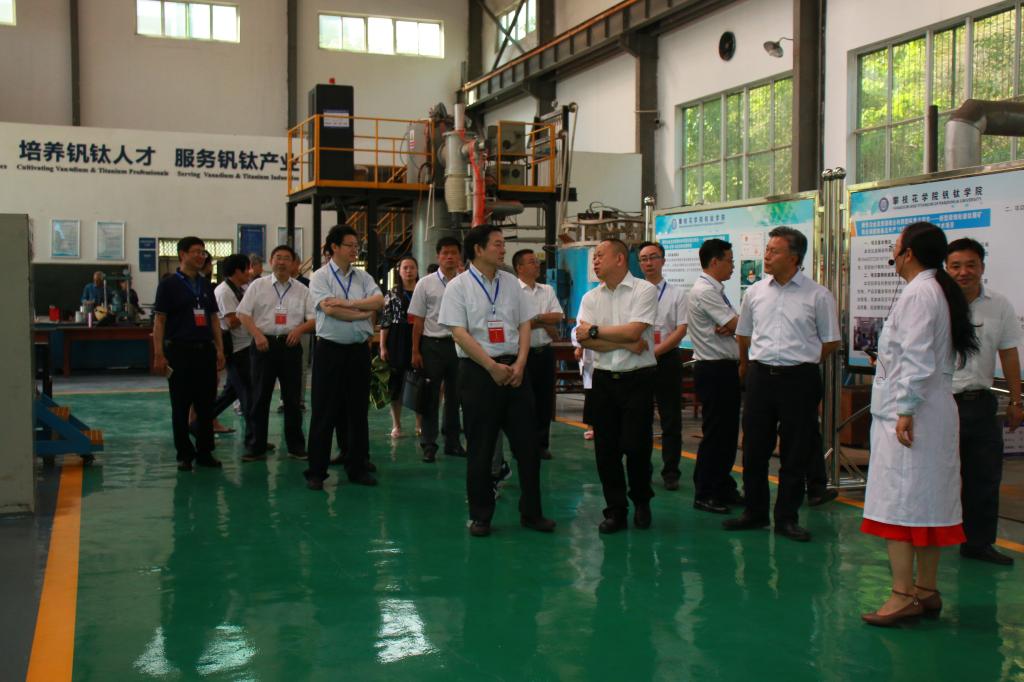 专家组考察钒钛中试基地