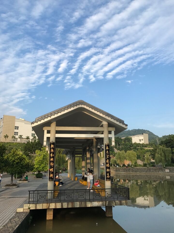 肖书记镜头下的莘莘学子(一)