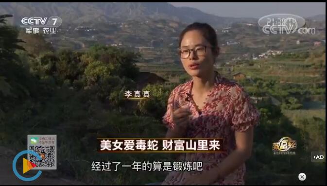 李真真接受央视《致富经》栏目采访