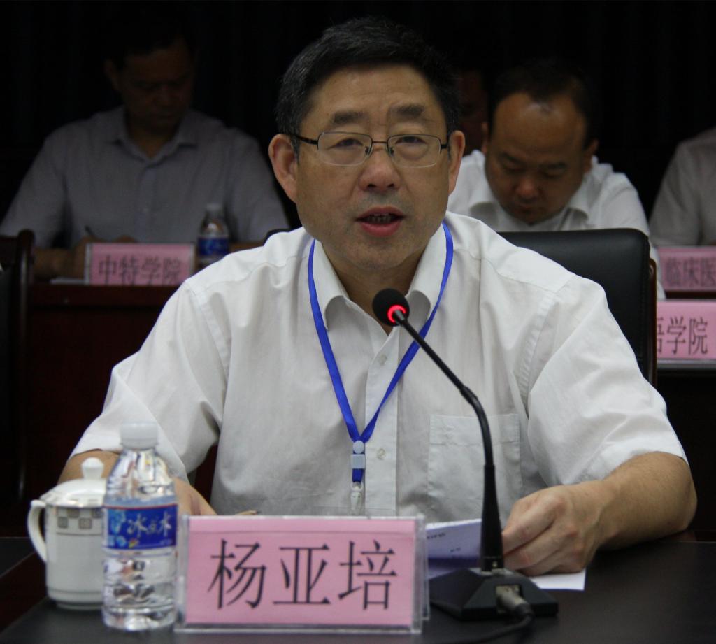 四川省教育厅高等教育处处长杨亚培讲话